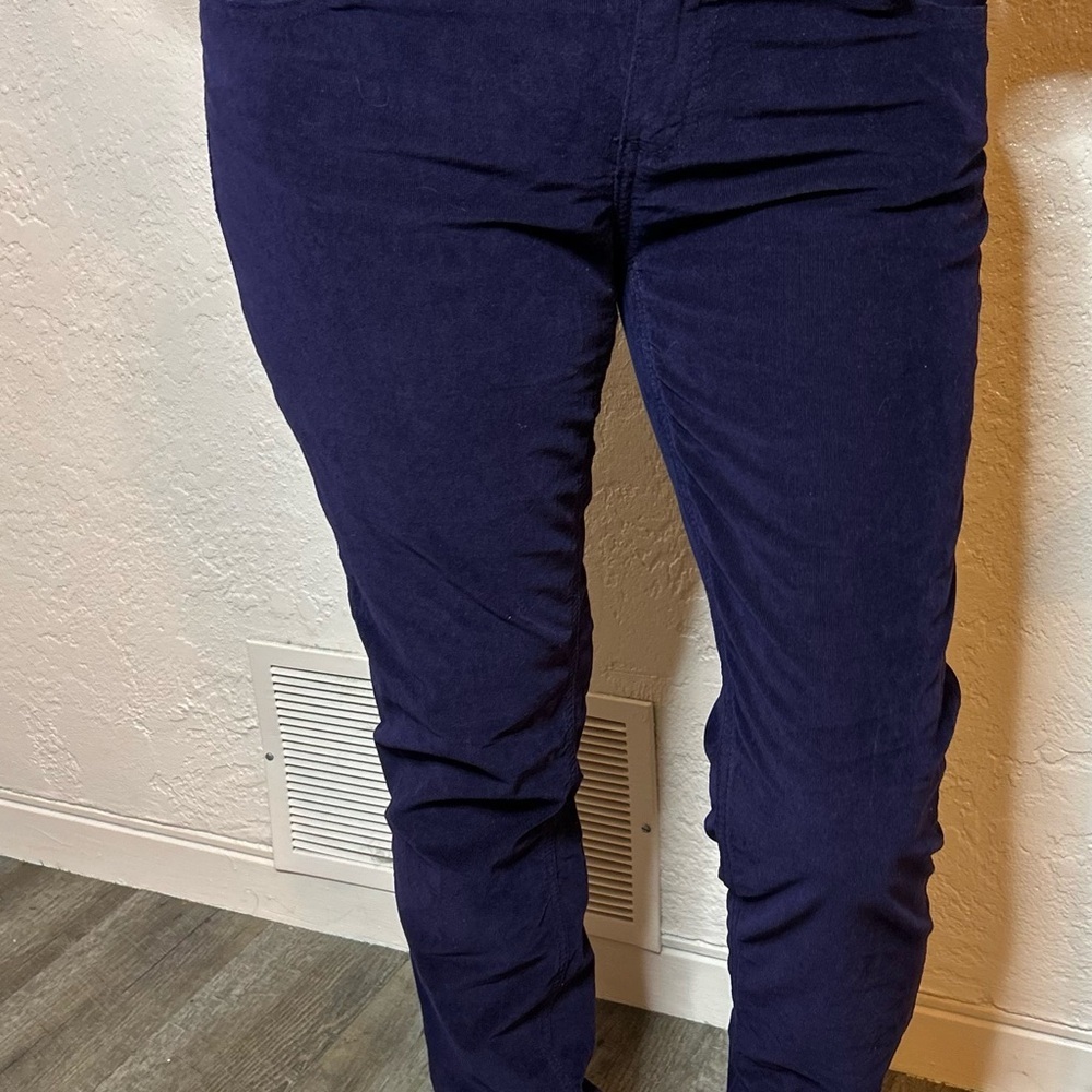 a.n.a Deep Purple Corduroy Pants